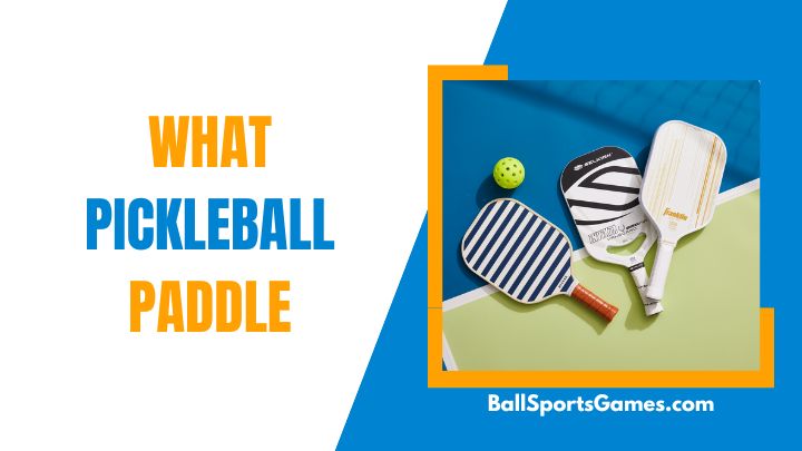 What pickleball paddle pro use