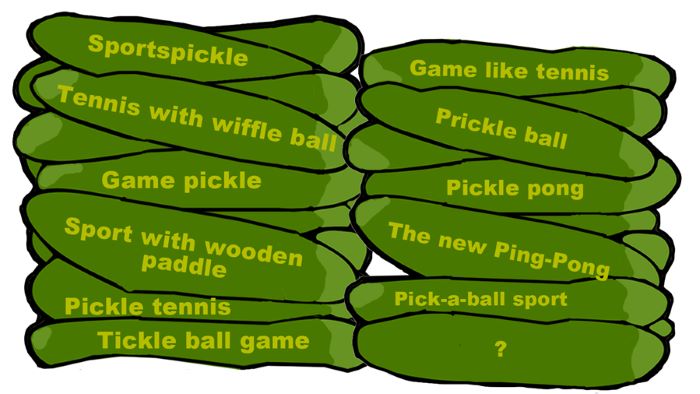 What Is a Good Pickleball Team Names