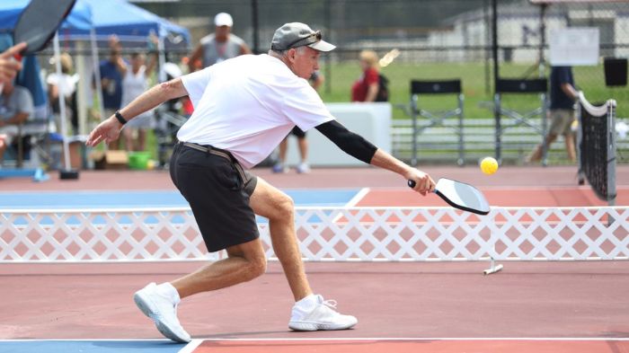 Skill Set is Required to Become a Pro Pickleball Player