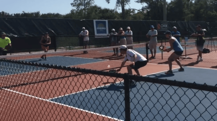 Drop Shot As The Type Of Third Shot In Pickleball