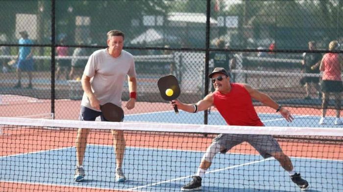 Pickleball Paddle Guide for Table Tennis Players