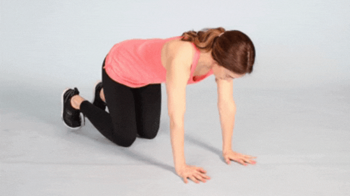 Bird Dog Exercise For Preventing Pickleball Back Pain