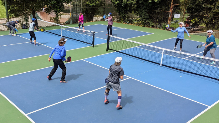 Some Of The Tennis Players Have Switched Their Game From Tennis To Pickleball