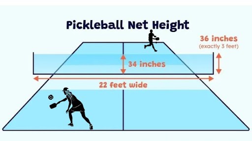 how high is a pickleball net in the middle

