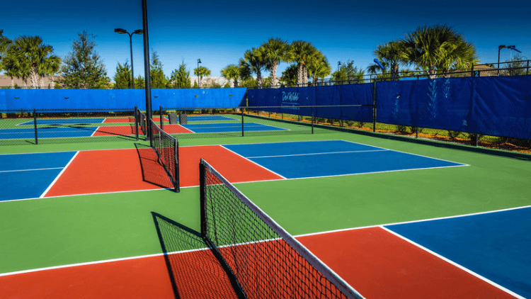 pickleball court colors
